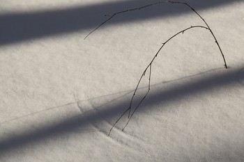 The March study / ***