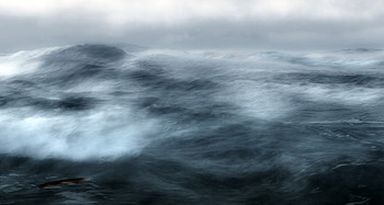 Ocean is shaking... / ***