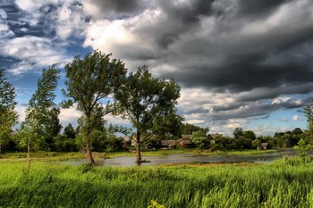 Before the storm / ***