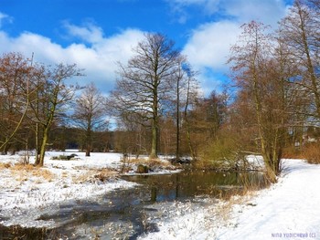 Winter landscape / ***