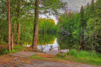 Enjoying the peace / ***