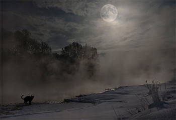Ghostly all / ***