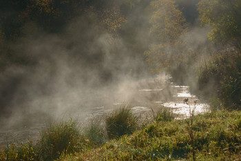Ghostly all / ***