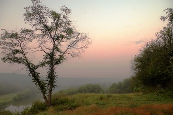 Foggy morning / ***