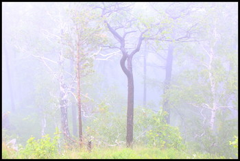 Ghostly all / ***