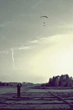 The road to heaven / ***