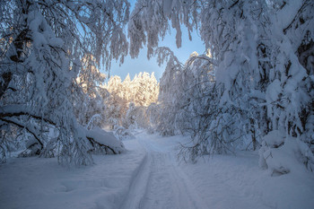 Path to light / ***