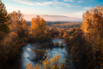 gold autumn / ***