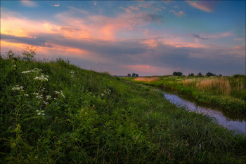 after summer rain / ***