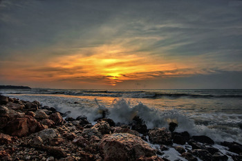 surf / ***