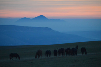 At dawn / ***