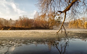 Winter fog / ***
