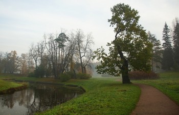 Autumn morning ... / ***
