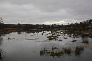 Before the storm / ***