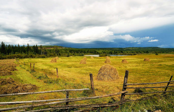 Before the storm / ***