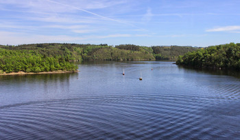 On the lake / ***