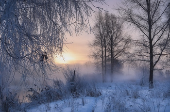 winter morning / -------------