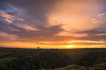 After the rain / ***