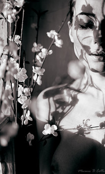 Shadows / Model - Olga
About me - www.instagram.com/mecurocotto/