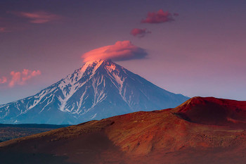 &nbsp; / ***
