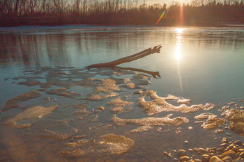 Spring light / ***