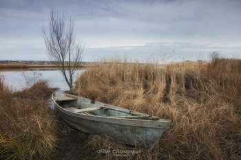 On the river bank / ***