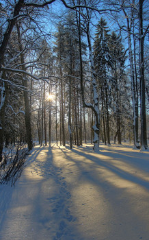 in the park / ***