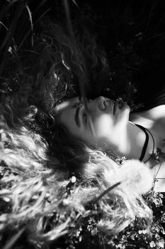 dandelion wine / ***