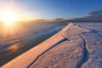 Spring sketch. / ***