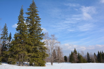 The breath of spring. / ***