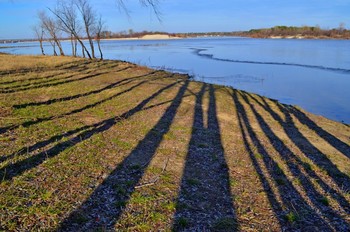 Shadows on the sand / ***