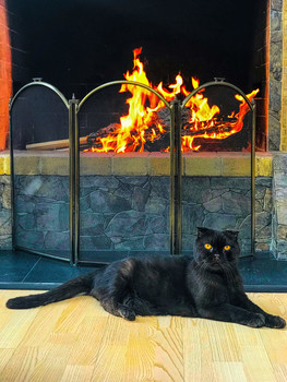 Formal portrait / ***