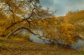 At the water ... / ***