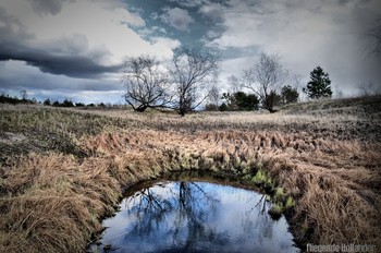 Between sky and water / ***