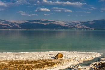 Dead Sea / ...