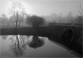 Foggy morning / ***