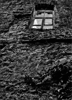 Window. / ***