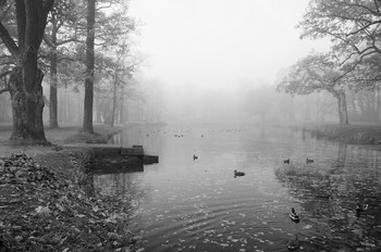 Autumn morning ... / ***