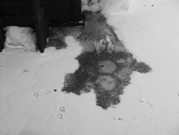 &nbsp; / [img]https://live.staticflickr.com/7917/47484520882_557e4e09dd_o.jpg[/img]

[img]https://live.staticflickr.com/7859/33660446418_5f60fe2ee7_o.jpg[/img]