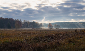 Autumn landscape / ***