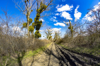 Season of bad roads / ***