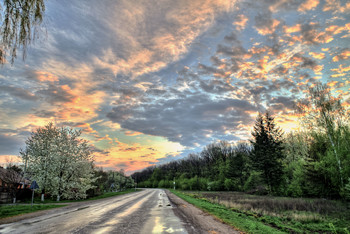 After the rain / ***