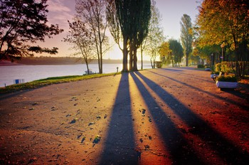 Morning in the park / ***