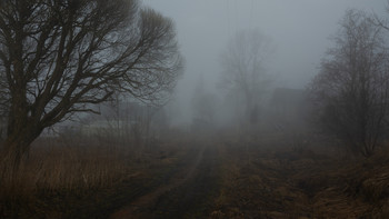 in fog / ***