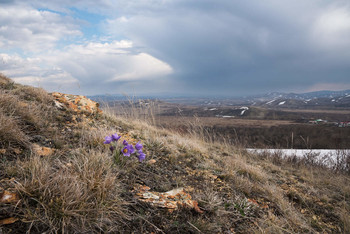 The first flowers / [img]https://i.imgur.com/vqwV23L.jpg[/img]
[img]https://i.imgur.com/11IPbXs.jpg[/img]
