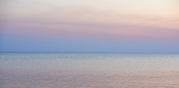 Quiescence / ----------