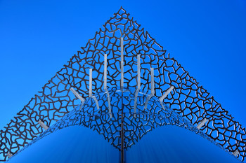 lace / ***