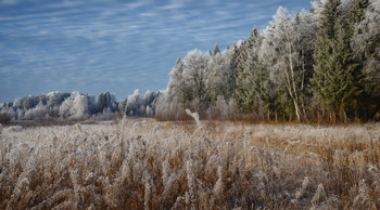 End of November / ...