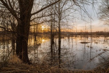 High water / ***