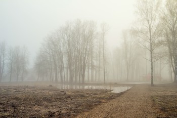 Spring fog / ***